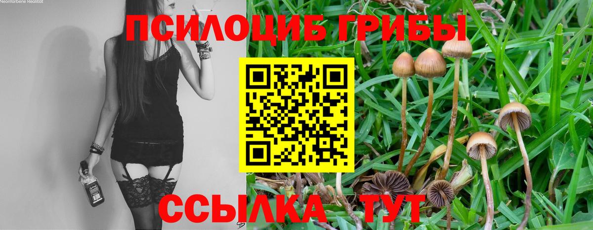 Галлюциногенные грибы GOLDEN TEACHER  Галлюциногенные грибы Cubensis  Вход с VPN  Юрга 