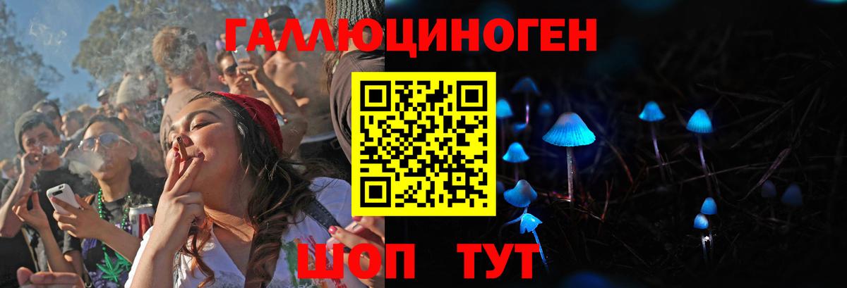Псилоцибиновые грибы Psilocybine cubensis Юрга